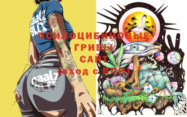 ALPHA-PVP Абинск