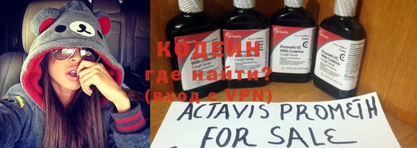 крисы Абаза