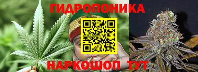 таблы Новокубанск