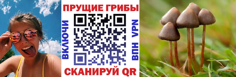 Псилоцибиновые грибы мицелий  Норильск 