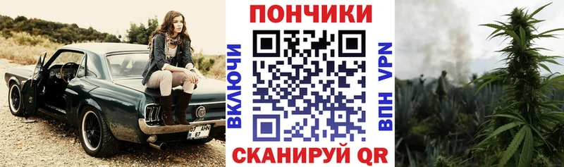 что такое наркотик Норильск Бошки Шишки ГИДРОПОН